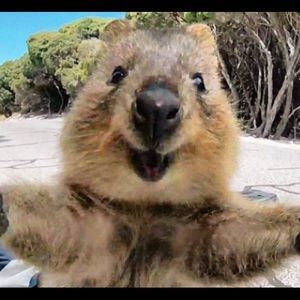 Meet your Posher, Cory